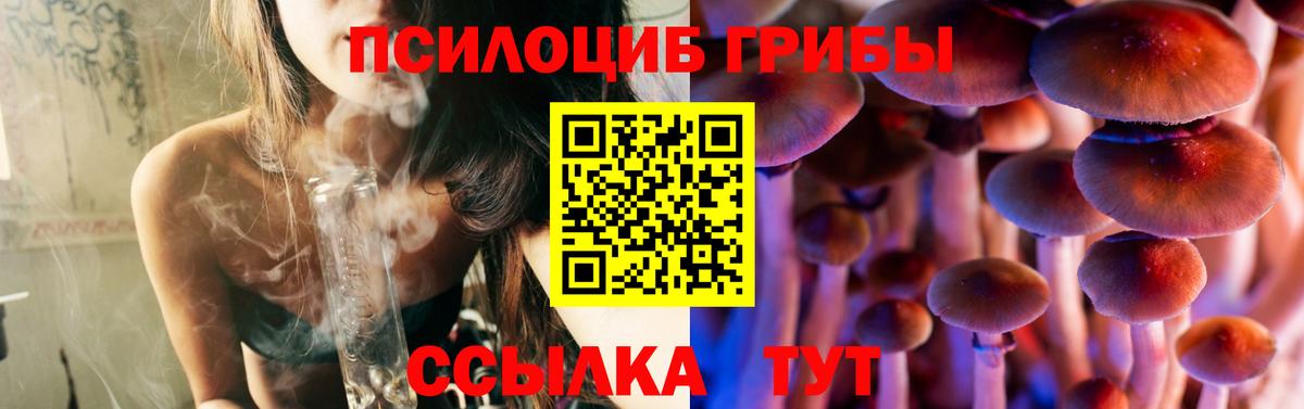 Тосно  Галлюциногенные грибы мухоморы  Вход с VPN  Псилоцибиновые грибы мицелий 
